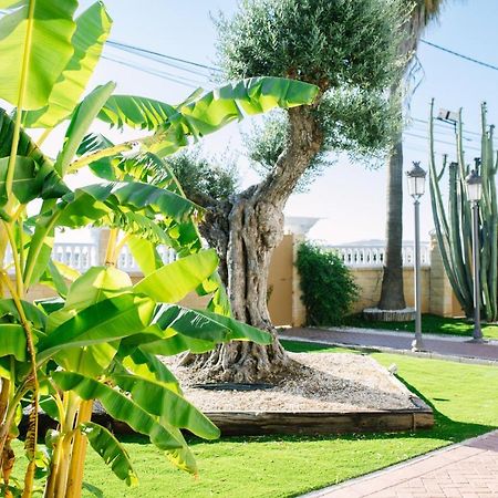 Casa Luxury "El Olivo De Cordoba" Con Jacuzzi Y Parking Privado 게스트하우스 외부 사진