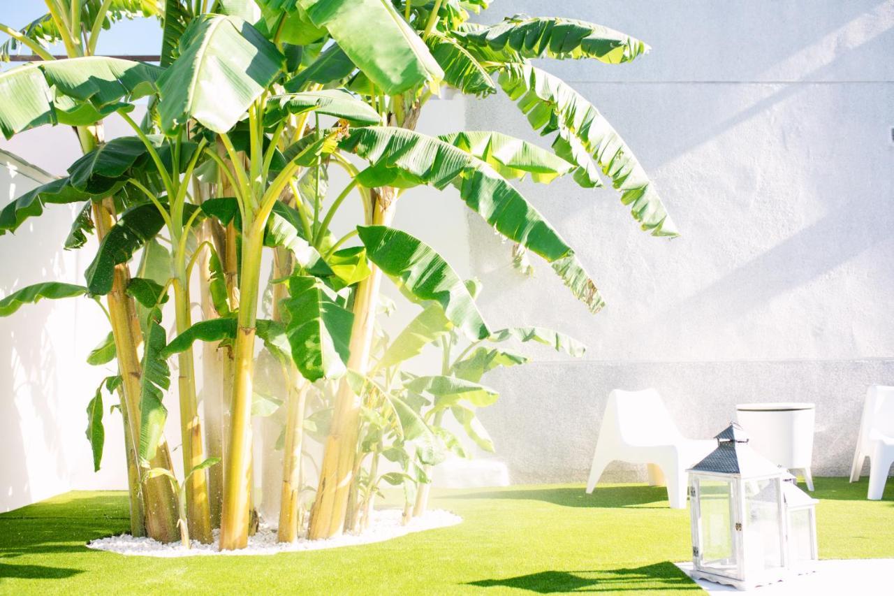 Casa Luxury "El Olivo De Cordoba" Con Jacuzzi Y Parking Privado 게스트하우스 외부 사진